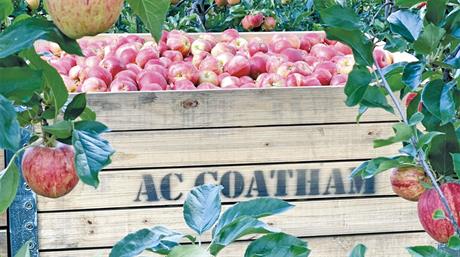 Top 25 Fruit Producers 2026: 6-10